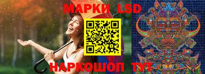 прущие грибы Вязники