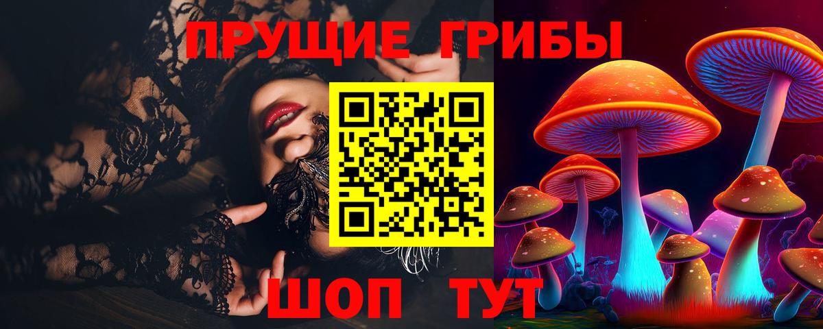 Сосновоборск  Галлюциногенные грибы Magic Shrooms  Вход с VPN 